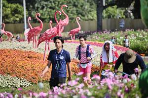 BIB: 
                            <button type="button" onclick="openModal(27793393)" class="btn btn-primary btn-sm float-right btn-popup" data-toggle="modal" data-target=".modal-high-quality">
                        <i class="fas fa-shopping-cart"></i> Add to Cart
                    </button>
                                            <button type="button" onclick="isThisMe(27793393, true)" class="btn btn-success btn-sm float-right btn-popup btn-isme hidden" data-toggle="tooltip" data-placement="bottom" title="นี่คือรูปของคุณใช่ไหม คลิกที่นี่เพื่อเอาเข้าอัลบั้ม">
                        <i class="fas fa-plus"></i> Add to album
                    </button>
                    <button type="button" onclick="isThisMe(27793393, false)" class="btn btn-warning btn-sm float-right btn-popup btn-isnotme hidden">
                        <i class="fas fa-ban"></i> Remove from album
                    </button>